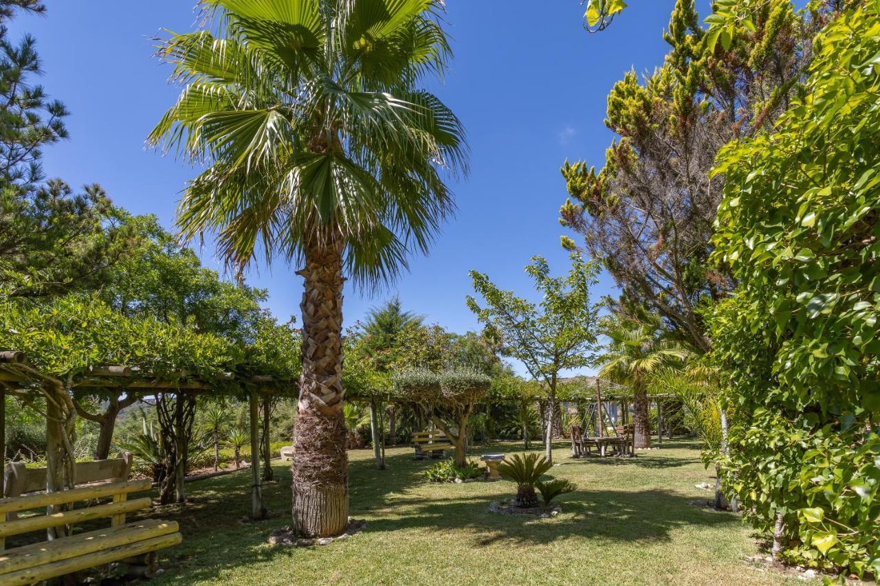 Quinta Do Monte Das Abelhas - La Venus De Lisbonne Calhandriz Luaran gambar