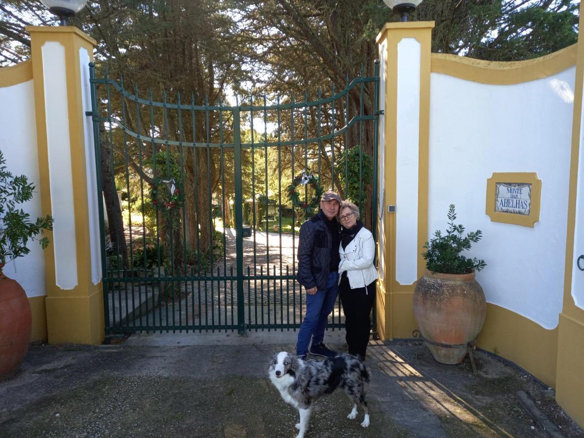 Quinta Do Monte Das Abelhas - La Venus De Lisbonne Calhandriz Luaran gambar